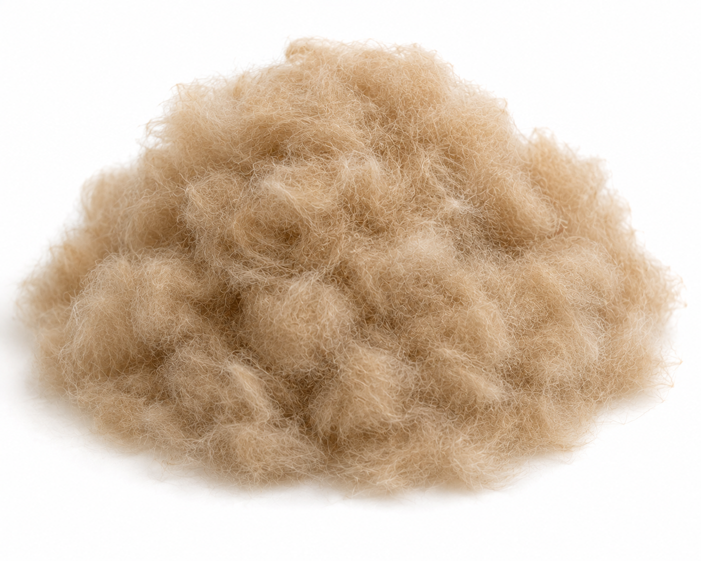 Baby Camel Down, Dehaired